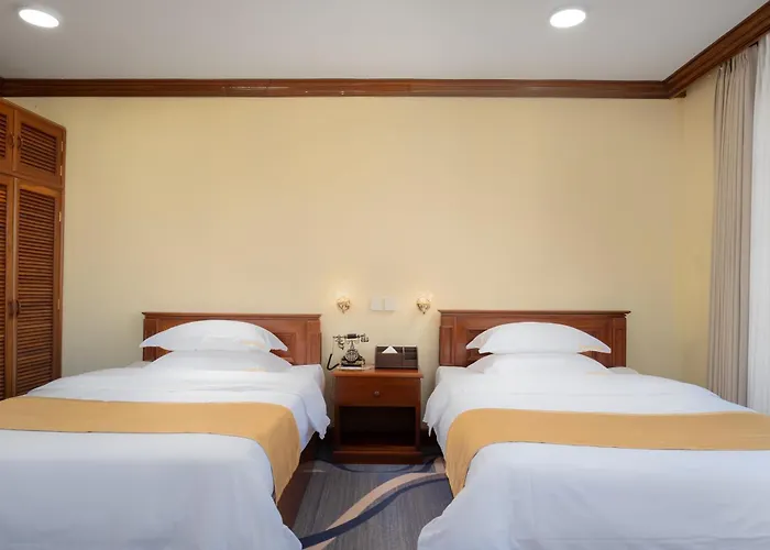 Hotel Domi