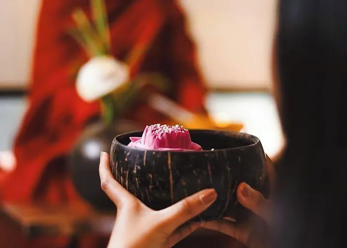 Hotel Domi Siem Reap